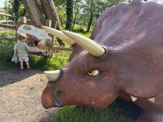 A small child reading the Dinosaur Stomp trail board beside the life-size Triceratops