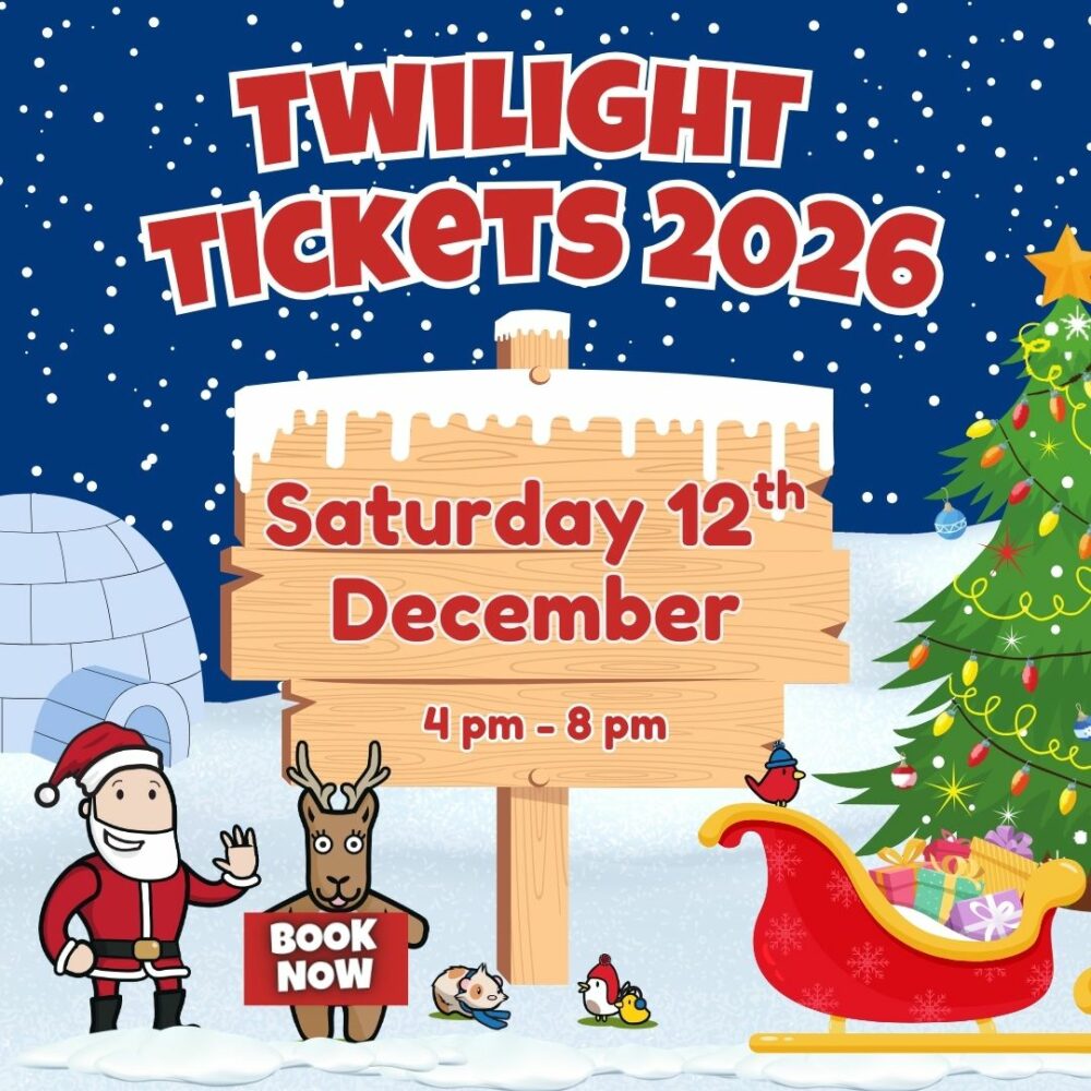 12.12.26 Twilight Tile Twilight Farmer Christmas at Farmer Palmer's Dorset