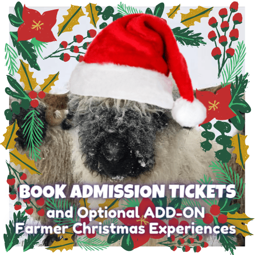 Admission tickets Christmas