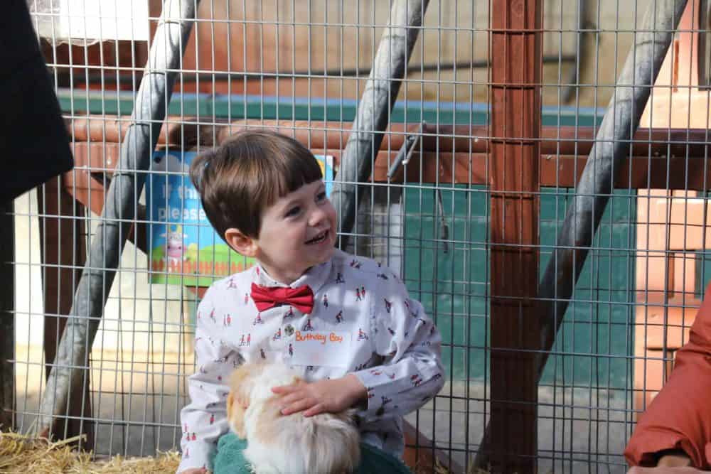 Birthday boy Guinea pig handling