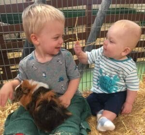 boy and baby guinea pig handling