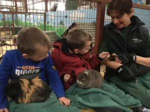 Boys and tina with the guinea pig