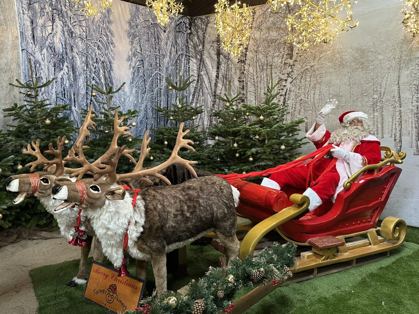 Farmer Christmas and his sleigh and reindeer in Farmer Palmer's Christmas experience barn