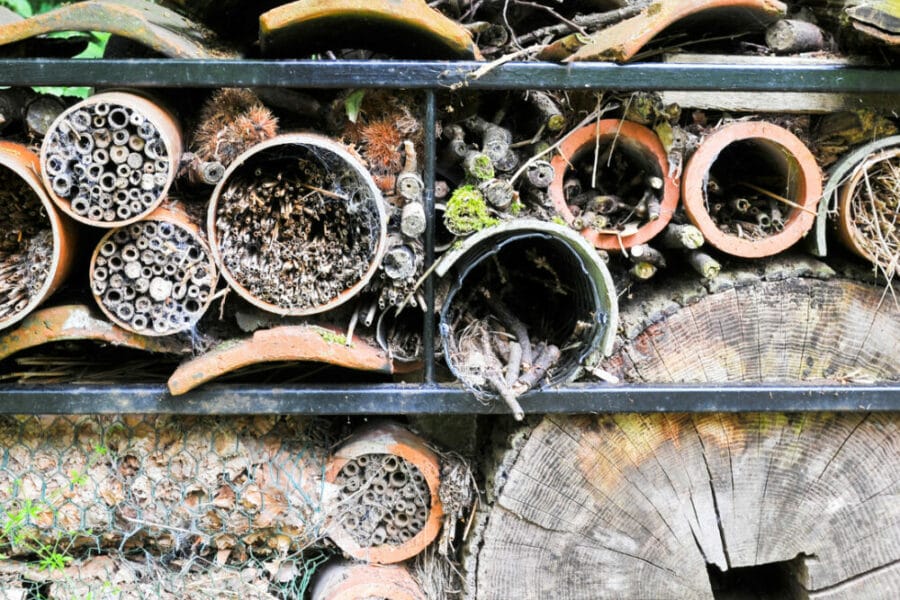 build a bug hotel - at home
