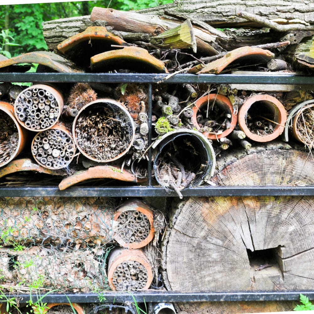 build a bug hotel - at home