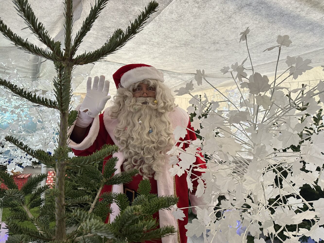 Farmer Cristmas with a big beard with a christmas tree. santa at farmer palmers