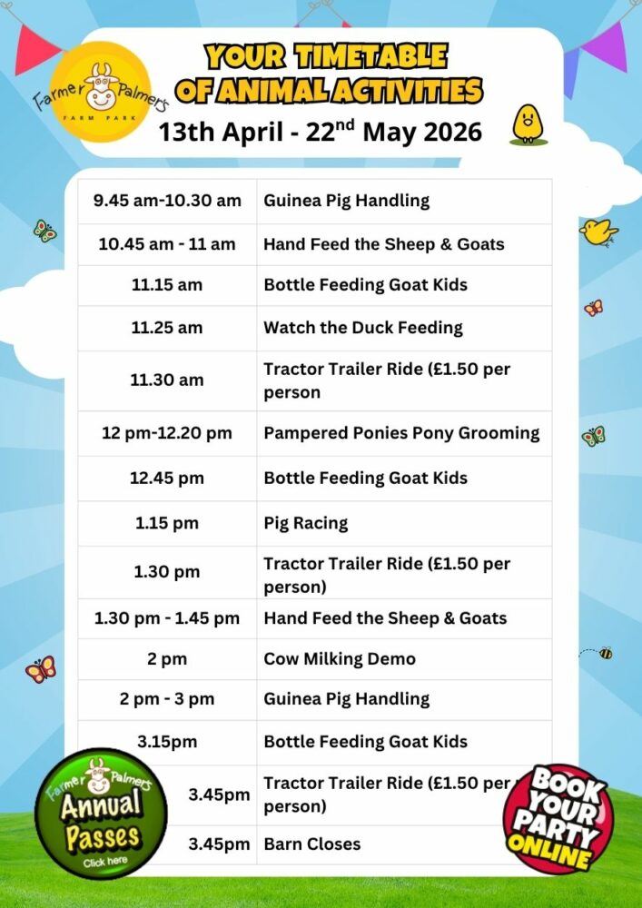 animal activity timetable farmer palmers times and activities