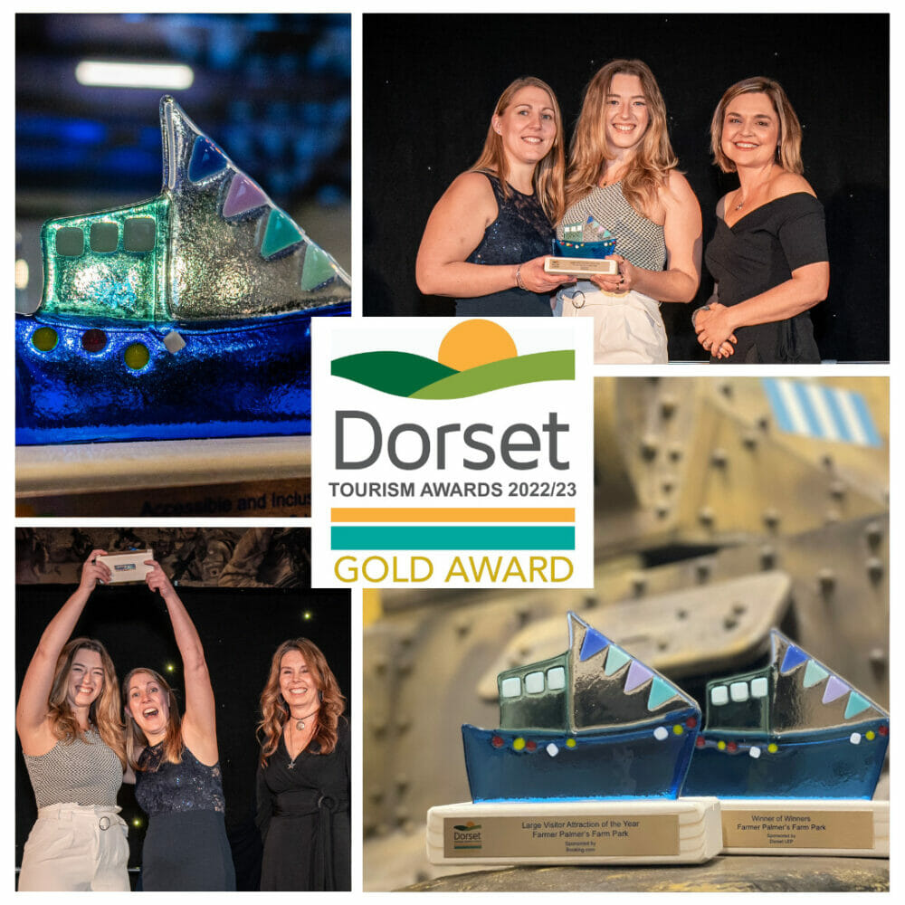 Dorset Tourism Awards 2023