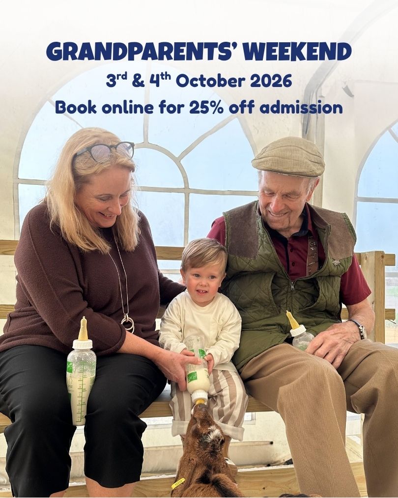 Grandparents weekend offer at Farmer Palmers Farm Park in Poole Dorset