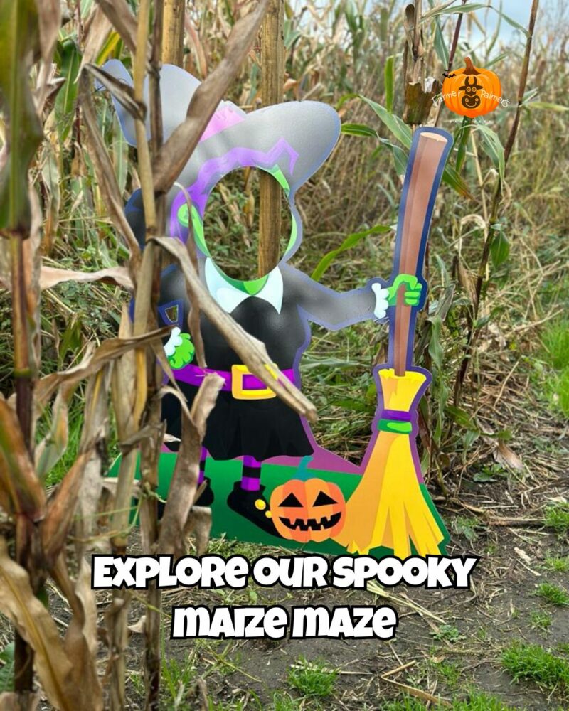 halloween maize maze with character in at farmer palmers