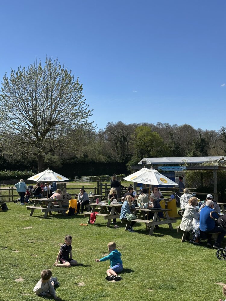 Farmer Palmers featured on the Dorset Chamber website