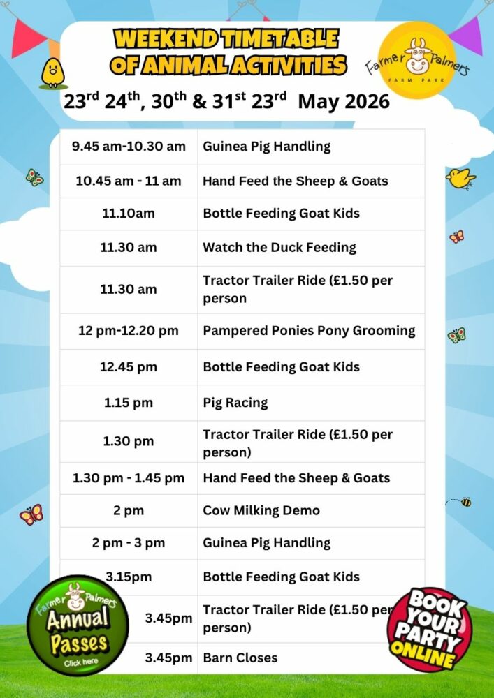 Activity timetable for weekends in May Half Term Farmer Palmers Poole