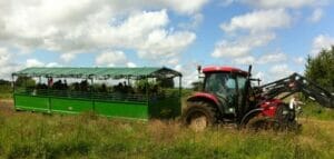 Red tractor with green trailer for tractor trailer ride
