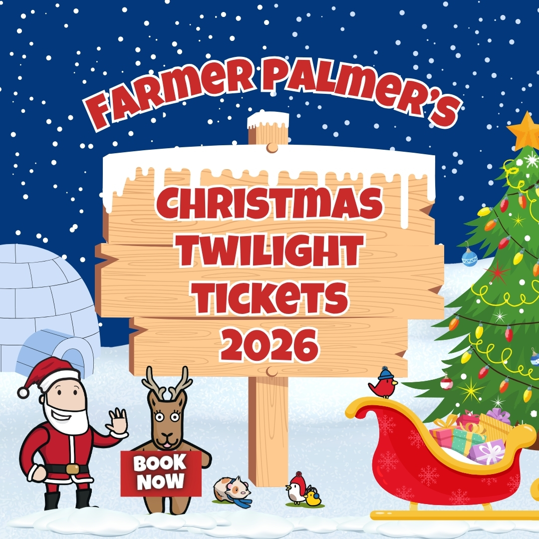 Farmer Christmas Twilight sign with characters