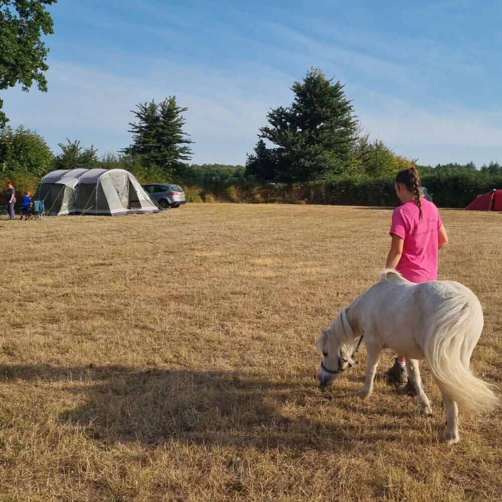 Camping Accommodation At Farmer Palmer's Farm Park