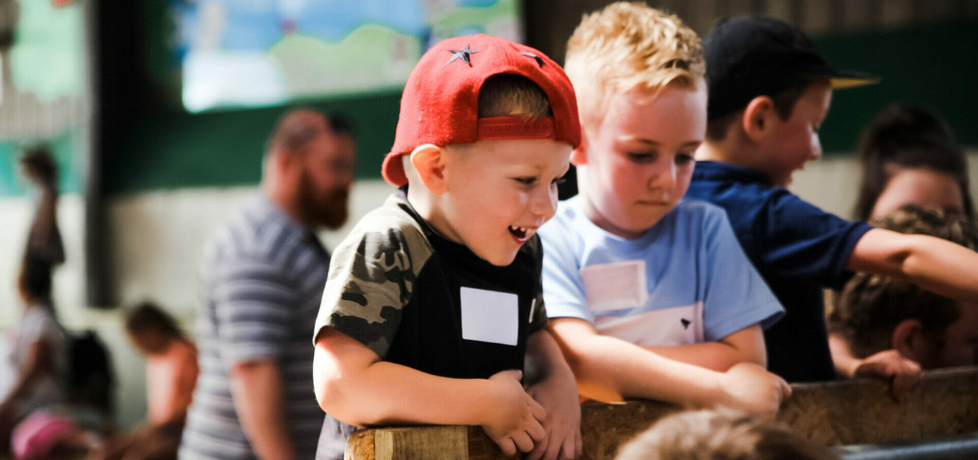 schools and groups at farmer palmers