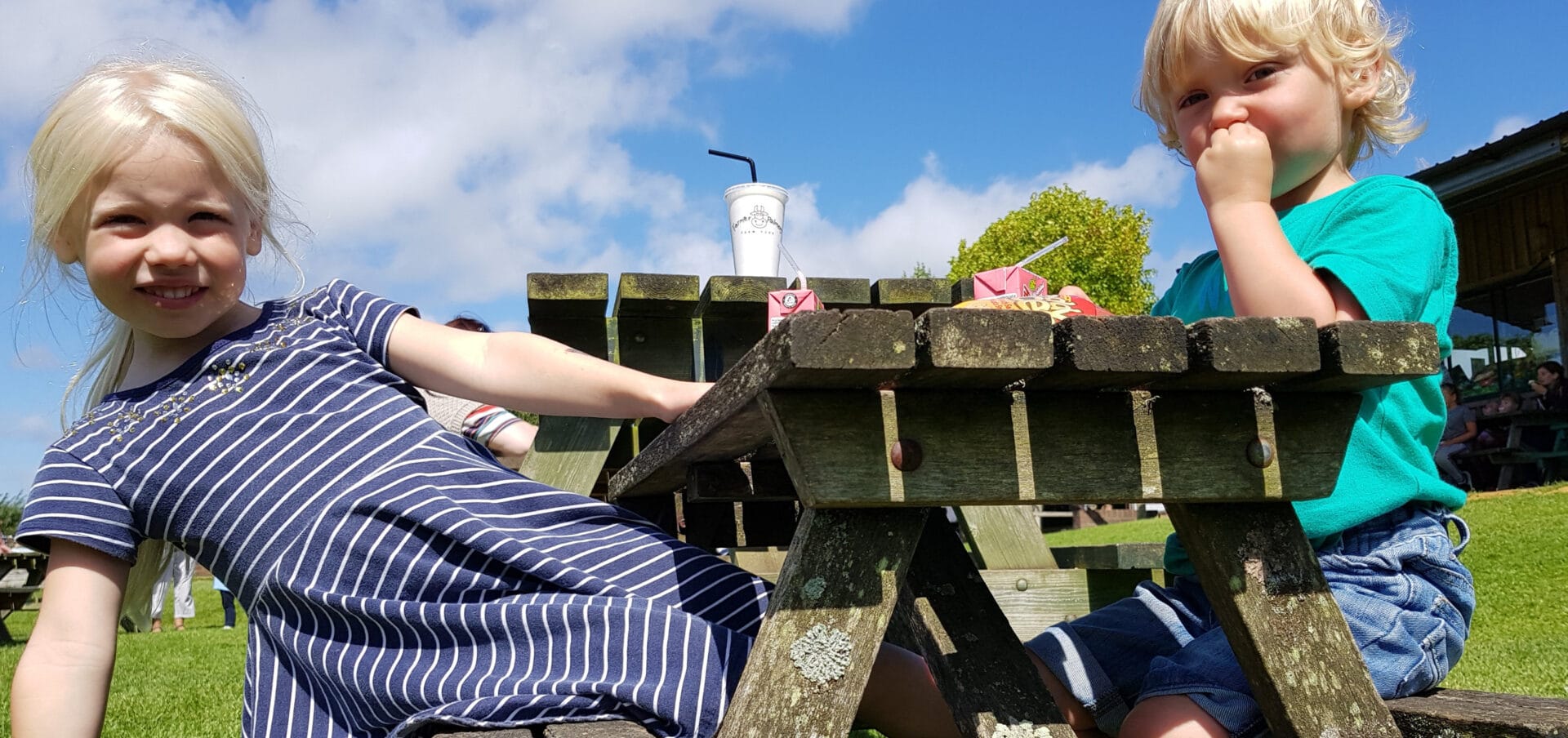 picnic tables - children eating