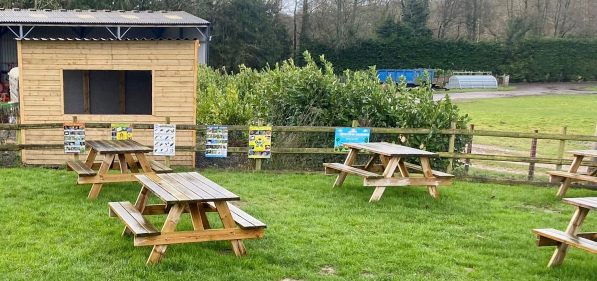 picnic tables - chicken coop