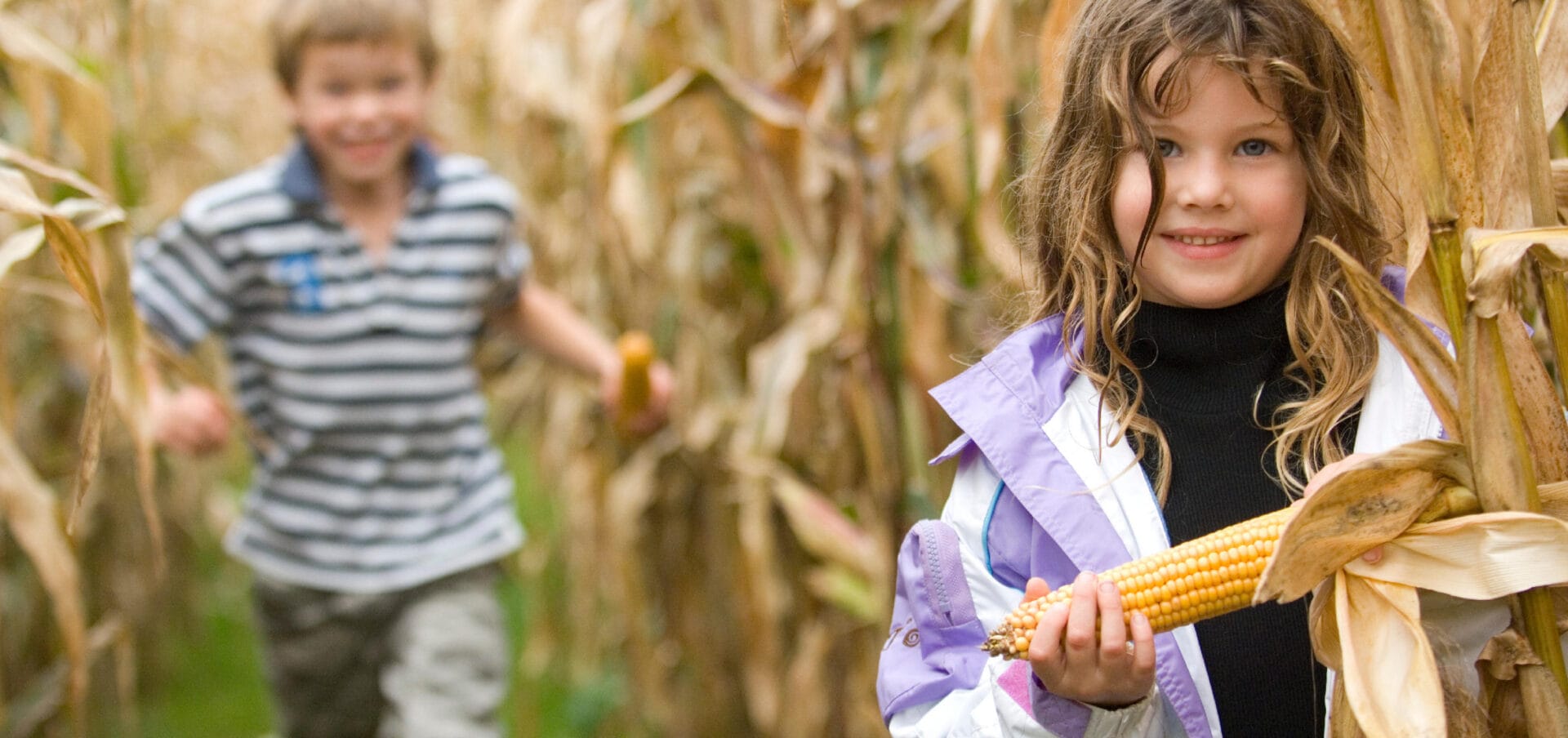 maize maze - pip & nick