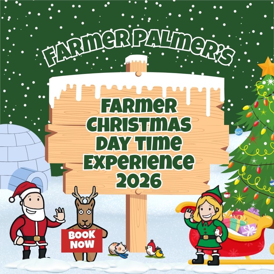 Board and christmas characters Farmer Christmas day expereince at Farmer Palmers Poole Dorset