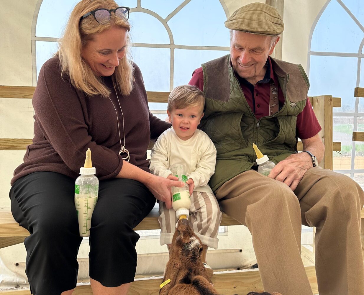 bottle feeding goats