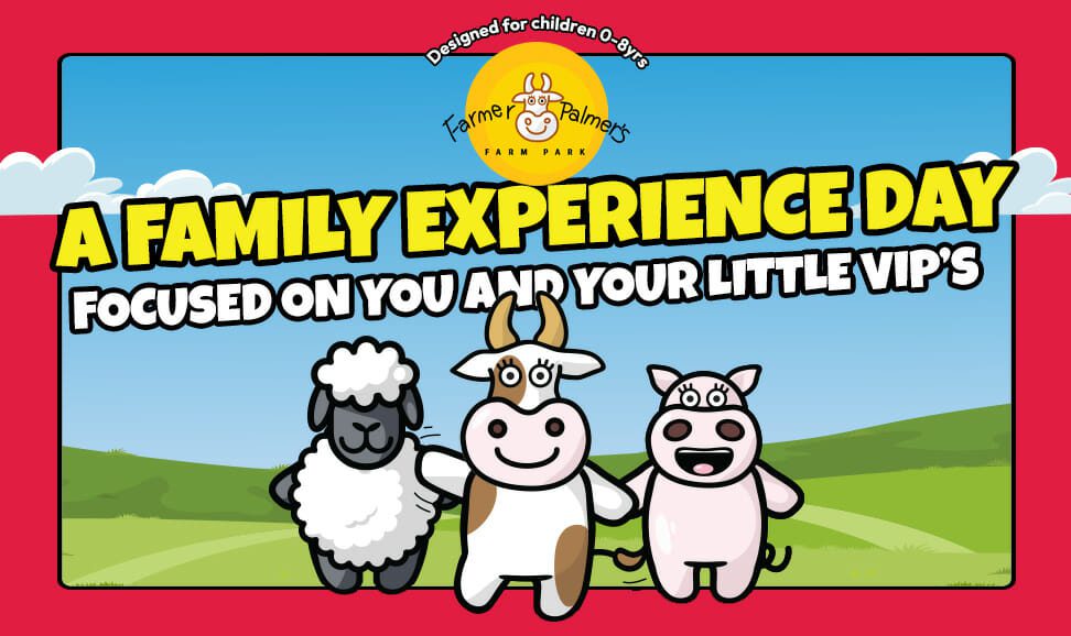 A Family experience day