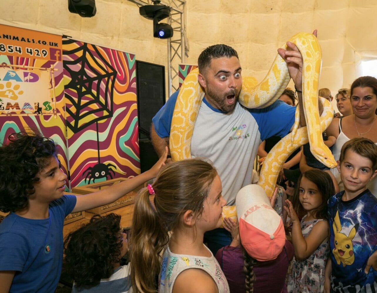 Animals at Farmer Palmers